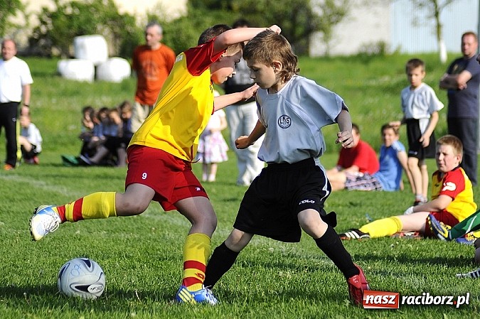 Zdjęcie w galerii na portalu naszraciborz.pl: Grad goli w Markowicach wiadomości z regionu