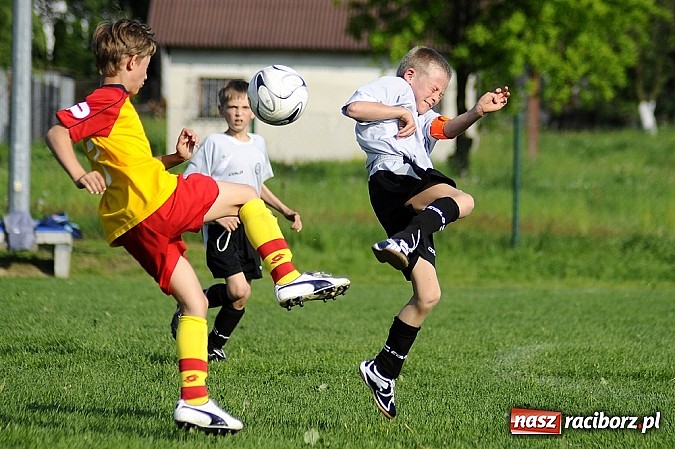 Zdjęcie w galerii na portalu naszraciborz.pl: Grad goli w Markowicach wiadomości z regionu