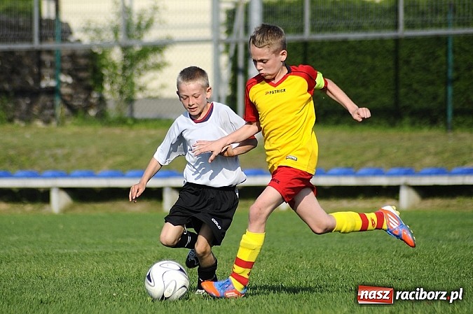 Zdjęcie w galerii na portalu naszraciborz.pl: Grad goli w Markowicach wiadomości z regionu