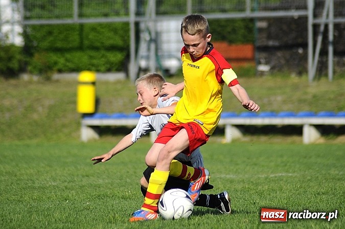 Zdjęcie w galerii na portalu naszraciborz.pl: Grad goli w Markowicach wiadomości z regionu