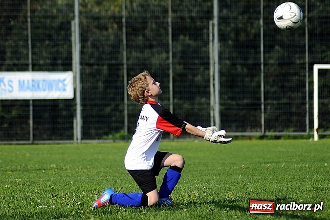 Zdjęcie w galerii na portalu naszraciborz.pl: Grad goli w Markowicach wiadomości z regionu