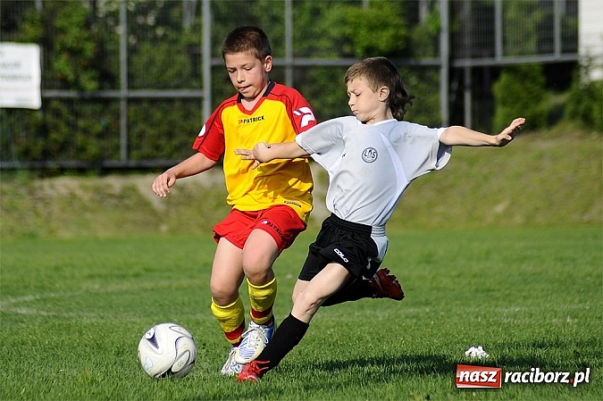 Zdjęcie w galerii na portalu naszraciborz.pl: Grad goli w Markowicach wiadomości z regionu