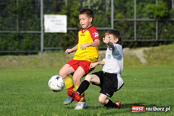 Zdjęcie w galerii na portalu naszraciborz.pl: Grad goli w Markowicach wiadomości z regionu