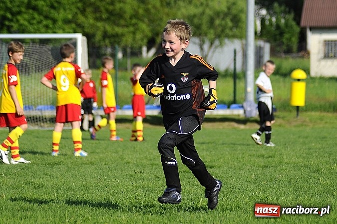 Zdjęcie w galerii na portalu naszraciborz.pl: Grad goli w Markowicach wiadomości z regionu