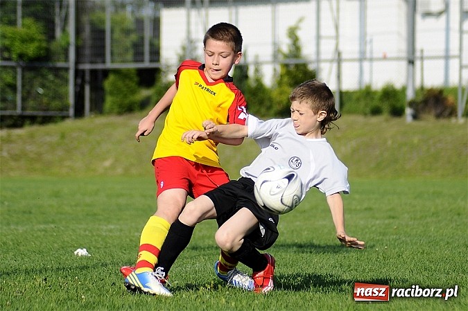 Zdjęcie w galerii na portalu naszraciborz.pl: Grad goli w Markowicach wiadomości z regionu