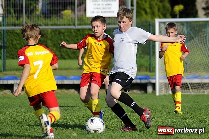 Zdjęcie w galerii na portalu naszraciborz.pl: Grad goli w Markowicach wiadomości z regionu