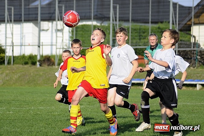 Zdjęcie w galerii na portalu naszraciborz.pl: Grad goli w Markowicach wiadomości z regionu