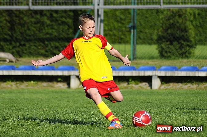 Zdjęcie w galerii na portalu naszraciborz.pl: Grad goli w Markowicach wiadomości z regionu