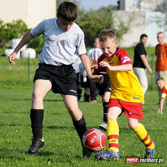Zdjęcie w galerii na portalu naszraciborz.pl: Grad goli w Markowicach wiadomości z regionu