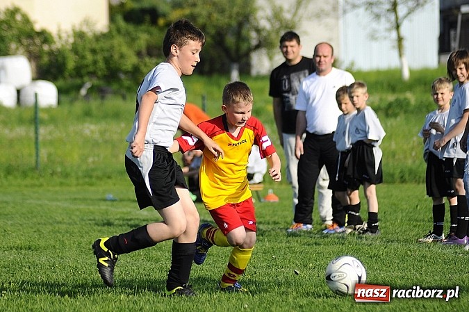 Zdjęcie w galerii na portalu naszraciborz.pl: Grad goli w Markowicach wiadomości z regionu