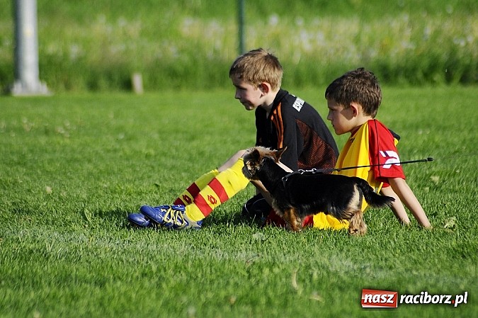 Zdjęcie w galerii na portalu naszraciborz.pl: Grad goli w Markowicach wiadomości z regionu