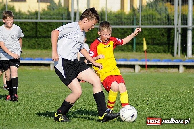 Zdjęcie w galerii na portalu naszraciborz.pl: Grad goli w Markowicach wiadomości z regionu