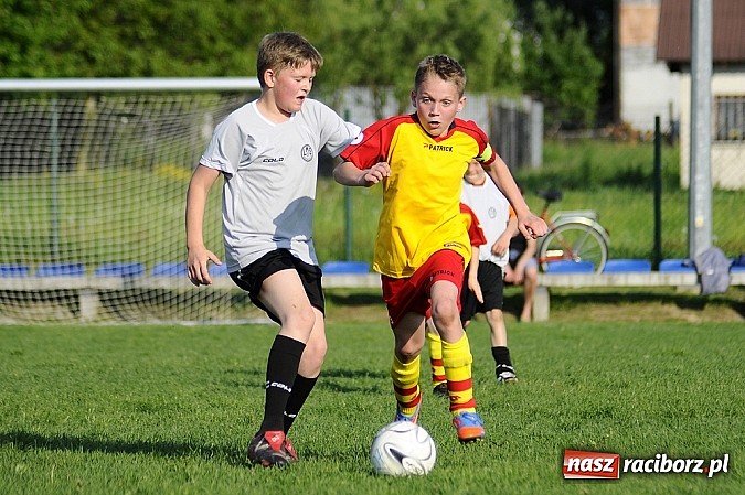 Zdjęcie w galerii na portalu naszraciborz.pl: Grad goli w Markowicach wiadomości z regionu