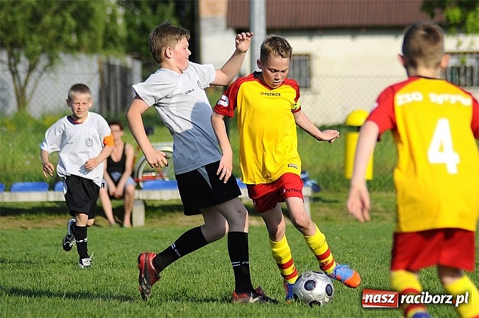 Zdjęcie w galerii na portalu naszraciborz.pl: Grad goli w Markowicach wiadomości z regionu