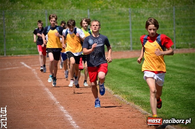Zdjęcie w galerii na portalu naszraciborz.pl: Czwórbój lekkoatletyczny na Zamkowej wiadomości z regionu