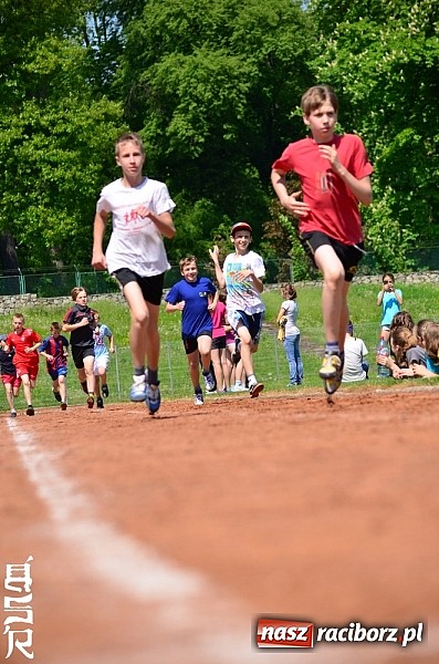 Zdjęcie w galerii na portalu naszraciborz.pl: Czwórbój lekkoatletyczny na Zamkowej wiadomości z regionu