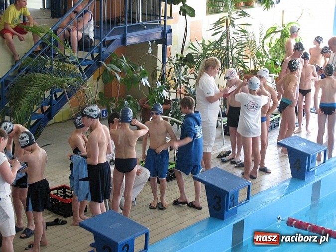 Zdjęcie w galerii na portalu naszraciborz.pl: Pływanie: Victoria ze złotem, srebrem i brązami wiadomości z regionu