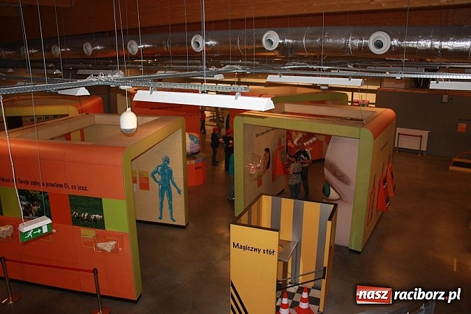 Zdjęcie w galerii na portalu naszraciborz.pl: Mali studenci z RCK odwiedzili Wrocław wiadomości z regionu