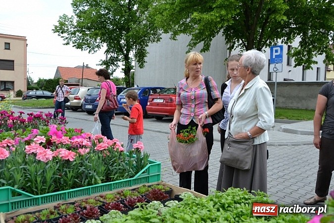 Zdjęcie w galerii na portalu naszraciborz.pl: Festiwal kwiatów oraz młode talenty na scenie w Tworkowie wiadomości z regionu