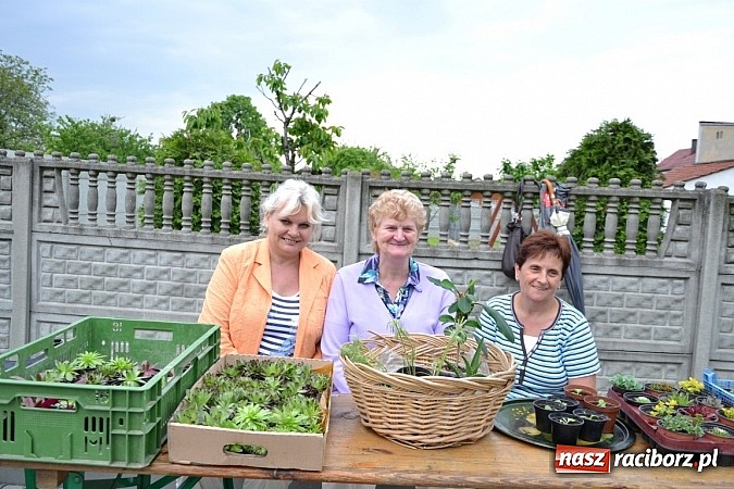 Zdjęcie w galerii na portalu naszraciborz.pl: Festiwal kwiatów oraz młode talenty na scenie w Tworkowie wiadomości z regionu