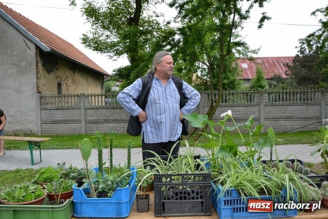 Zdjęcie w galerii na portalu naszraciborz.pl: Festiwal kwiatów oraz młode talenty na scenie w Tworkowie wiadomości z regionu