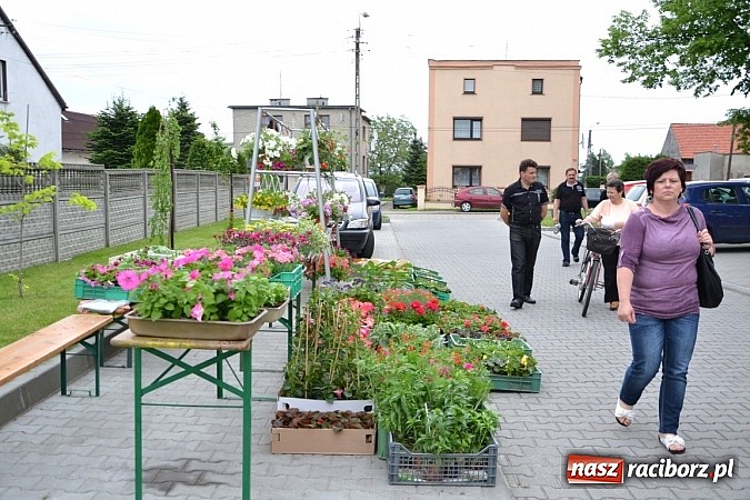 Zdjęcie w galerii na portalu naszraciborz.pl: Festiwal kwiatów oraz młode talenty na scenie w Tworkowie wiadomości z regionu