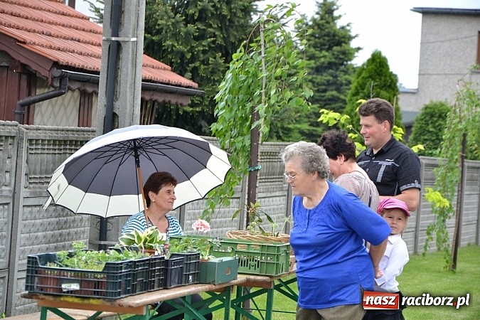 Zdjęcie w galerii na portalu naszraciborz.pl: Festiwal kwiatów oraz młode talenty na scenie w Tworkowie wiadomości z regionu