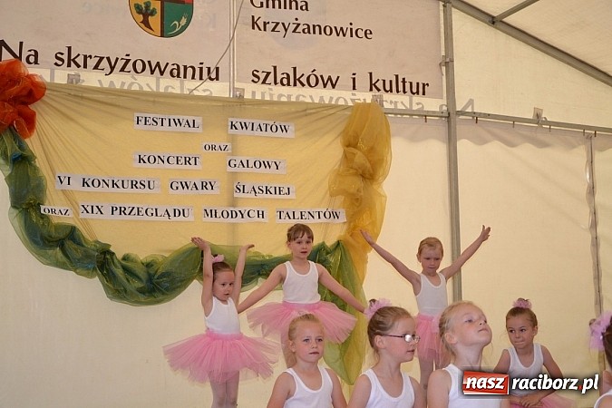 Zdjęcie w galerii na portalu naszraciborz.pl: Festiwal kwiatów oraz młode talenty na scenie w Tworkowie wiadomości z regionu