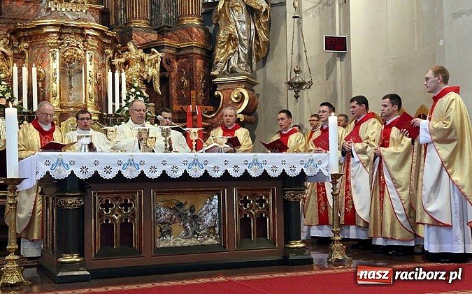 Zdjęcie w galerii na portalu naszraciborz.pl: Święcenia prezbiteratu w katedrze opolskiej wiadomości z regionu