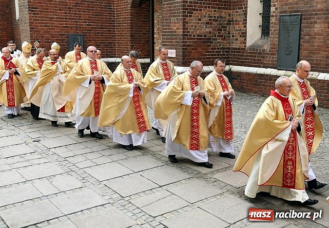 Zdjęcie w galerii na portalu naszraciborz.pl: Święcenia prezbiteratu w katedrze opolskiej wiadomości z regionu