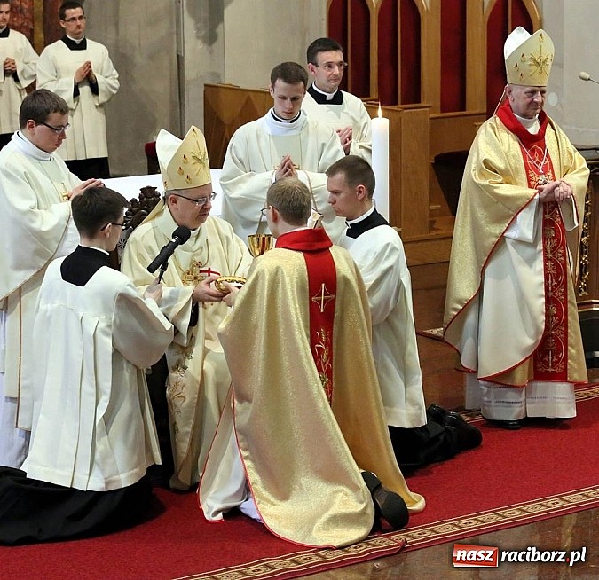 Zdjęcie w galerii na portalu naszraciborz.pl: Święcenia prezbiteratu w katedrze opolskiej wiadomości z regionu