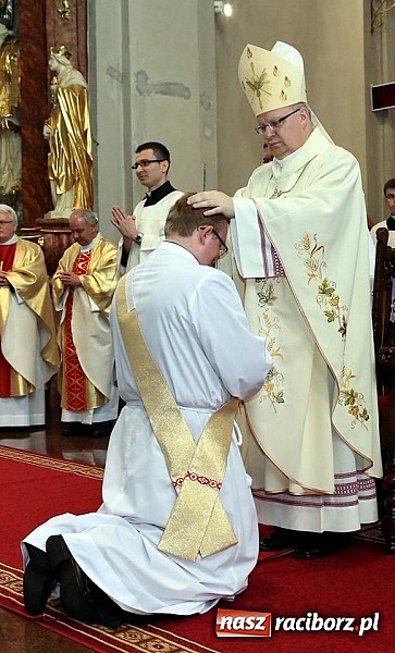 Zdjęcie w galerii na portalu naszraciborz.pl: Święcenia prezbiteratu w katedrze opolskiej wiadomości z regionu