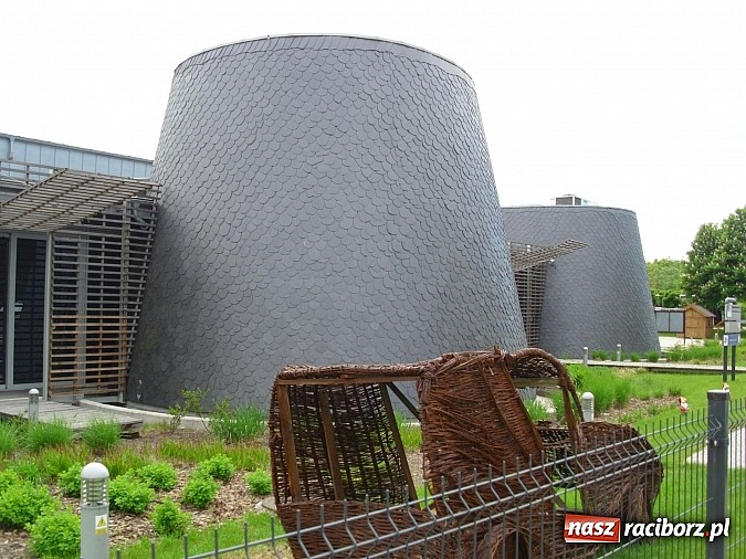 Zdjęcie w galerii na portalu naszraciborz.pl: Przedszkolaki z Markowic pojechały na wycieczkę do Pacanowa wiadomości z regionu