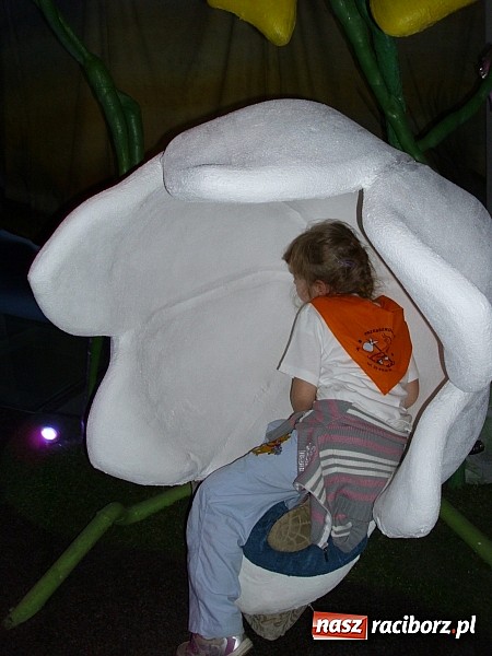 Zdjęcie w galerii na portalu naszraciborz.pl: Przedszkolaki z Markowic pojechały na wycieczkę do Pacanowa wiadomości z regionu