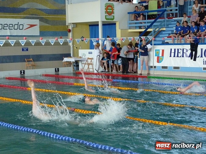 Zdjęcie w galerii na portalu naszraciborz.pl: X Zawody Pływackie o Puchar Prezesa Victorii wiadomości z regionu