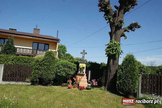 Zdjęcie w galerii na portalu naszraciborz.pl: Procesja ku czci św. Urbana w Rudzie Kozielskiej wiadomości z regionu