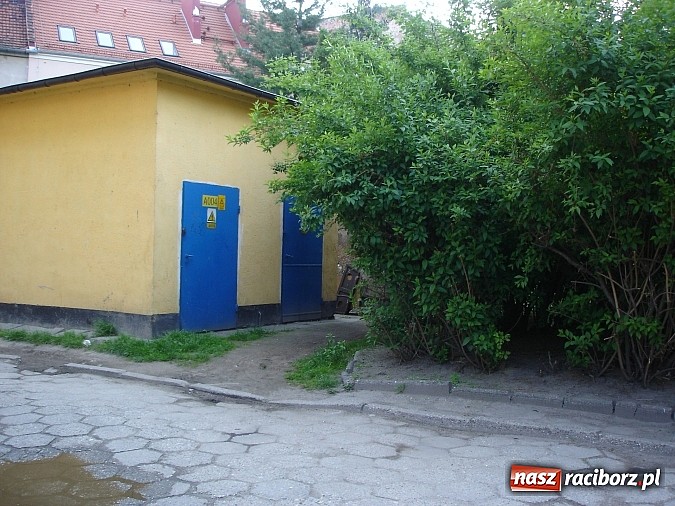 Zdjęcie w galerii na portalu naszraciborz.pl: Bywało, że śmieci leżały nawet miesiąc... wiadomości z regionu