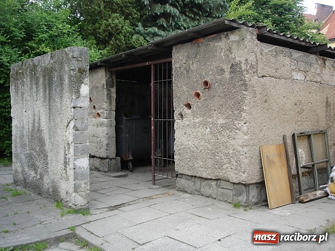 Zdjęcie w galerii na portalu naszraciborz.pl: Bywało, że śmieci leżały nawet miesiąc... wiadomości z regionu