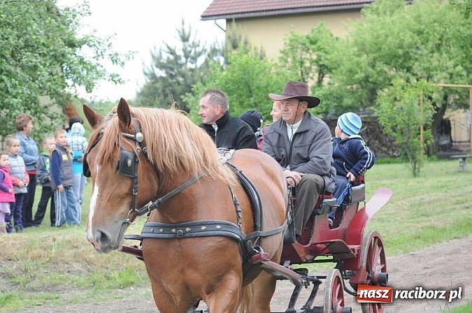 Zdjęcie w galerii na portalu naszraciborz.pl: Brzeska procesja ze świętym Urbanem. Dziękowali za łaski i prosili o urodzaj wiadomości z regionu