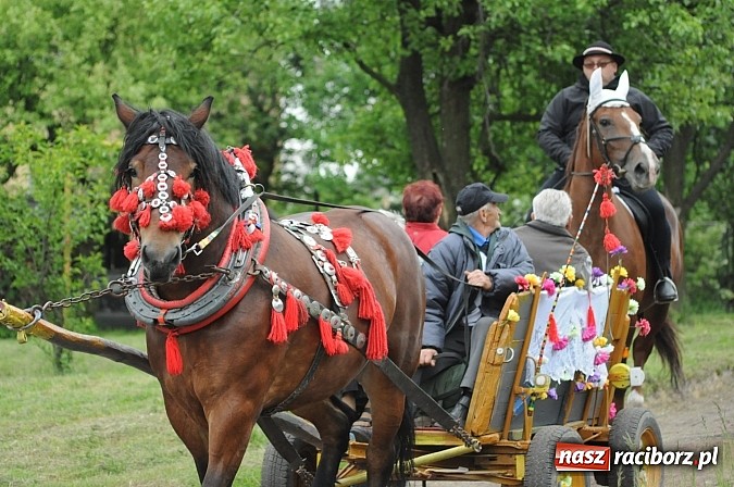 Zdjęcie w galerii na portalu naszraciborz.pl: Brzeska procesja ze świętym Urbanem. Dziękowali za łaski i prosili o urodzaj wiadomości z regionu
