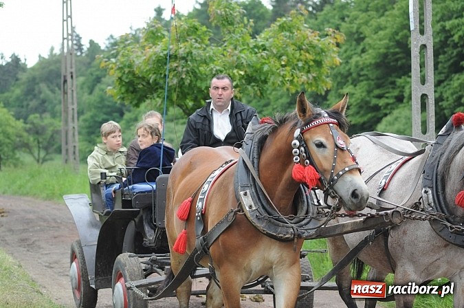 Zdjęcie w galerii na portalu naszraciborz.pl: Brzeska procesja ze świętym Urbanem. Dziękowali za łaski i prosili o urodzaj wiadomości z regionu