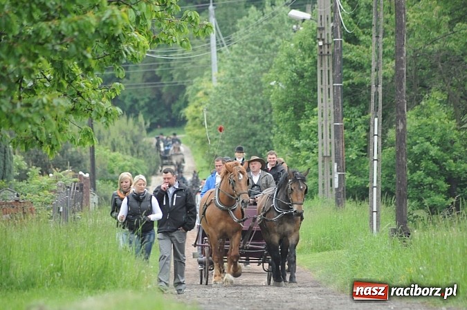 Zdjęcie w galerii na portalu naszraciborz.pl: Brzeska procesja ze świętym Urbanem. Dziękowali za łaski i prosili o urodzaj wiadomości z regionu