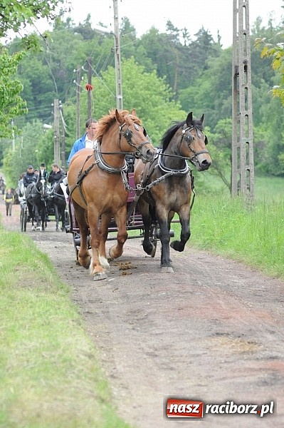 Zdjęcie w galerii na portalu naszraciborz.pl: Brzeska procesja ze świętym Urbanem. Dziękowali za łaski i prosili o urodzaj wiadomości z regionu