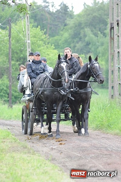 Zdjęcie w galerii na portalu naszraciborz.pl: Brzeska procesja ze świętym Urbanem. Dziękowali za łaski i prosili o urodzaj wiadomości z regionu