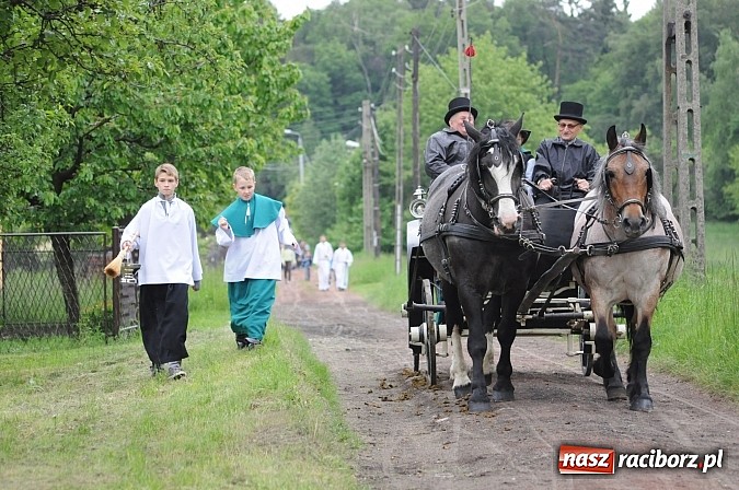Zdjęcie w galerii na portalu naszraciborz.pl: Brzeska procesja ze świętym Urbanem. Dziękowali za łaski i prosili o urodzaj wiadomości z regionu