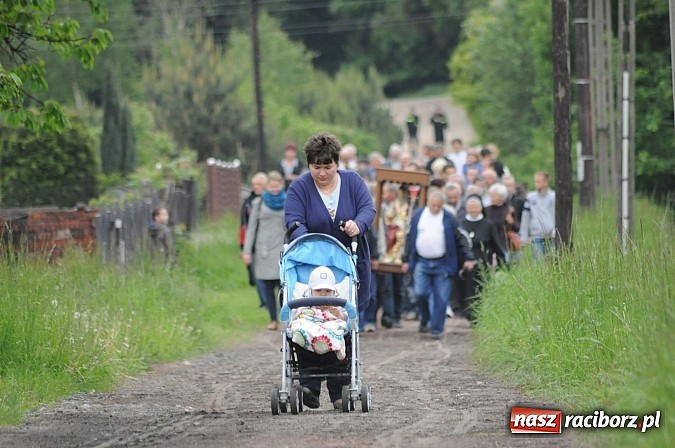 Zdjęcie w galerii na portalu naszraciborz.pl: Brzeska procesja ze świętym Urbanem. Dziękowali za łaski i prosili o urodzaj wiadomości z regionu