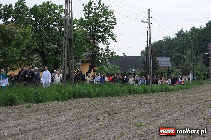 Zdjęcie w galerii na portalu naszraciborz.pl: Brzeska procesja ze świętym Urbanem. Dziękowali za łaski i prosili o urodzaj wiadomości z regionu