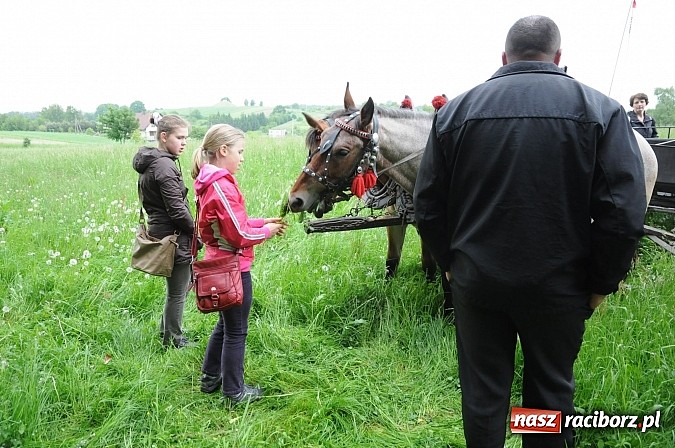 Zdjęcie w galerii na portalu naszraciborz.pl: Brzeska procesja ze świętym Urbanem. Dziękowali za łaski i prosili o urodzaj wiadomości z regionu