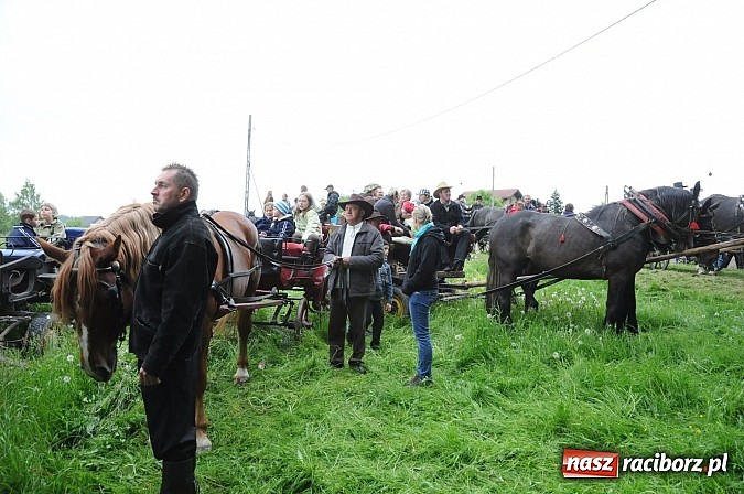 Zdjęcie w galerii na portalu naszraciborz.pl: Brzeska procesja ze świętym Urbanem. Dziękowali za łaski i prosili o urodzaj wiadomości z regionu