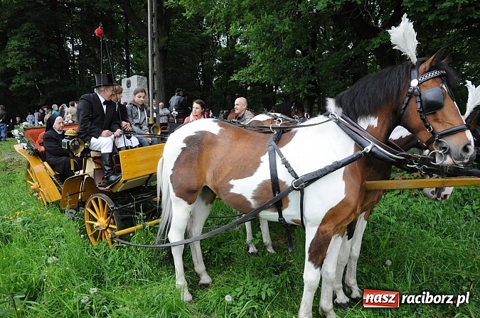 Zdjęcie w galerii na portalu naszraciborz.pl: Brzeska procesja ze świętym Urbanem. Dziękowali za łaski i prosili o urodzaj wiadomości z regionu